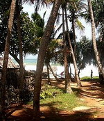 Self-catering accommodation in Kandy, Sri Lanka