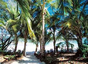 D Island Beach