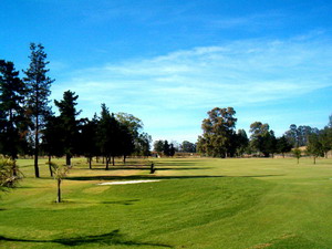 Golf in Cape Town, South Africa