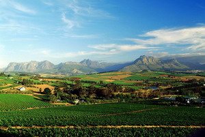 Golf in Cape Town, South Africa