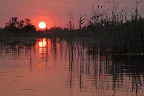 Okavango Delta Sunset