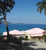 Lone Palm Villa