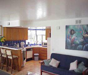 Living and kitchen area