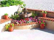 Patio flowers