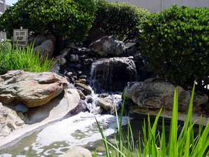 ponds