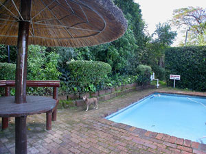 Splash pool