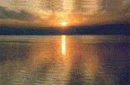 The Dead Sea