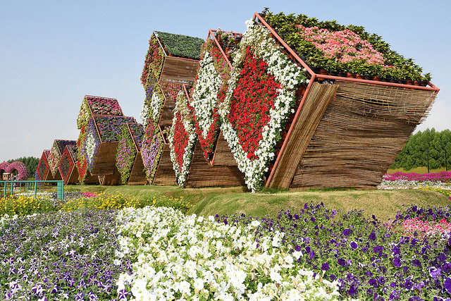 Dubai Miracle Garden