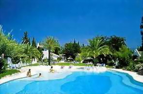 The Pool