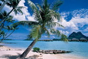 Tahiti-Beach at Bora Bora