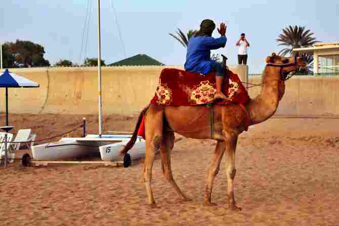 Camel ride on the beach in Agadir, Morocco