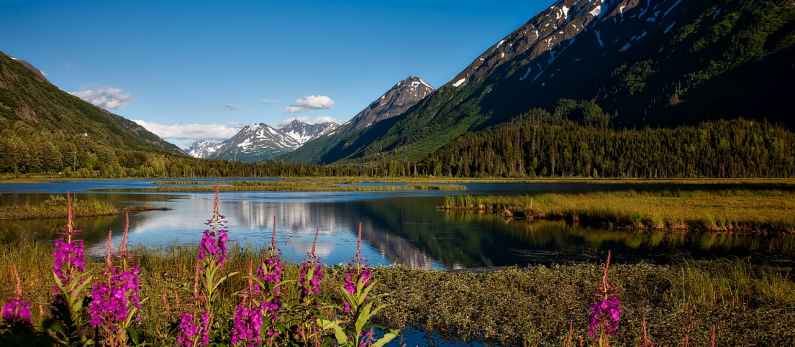 Chugach National Forest, Alaska, USA