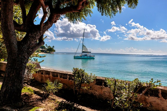 View from your villa in Barbados