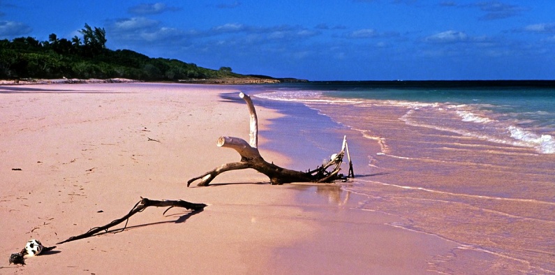 Pink Sand Beach, Barbuda