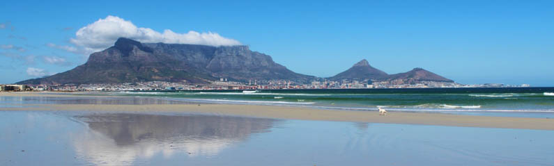 View of Cape Town and Table Mountain