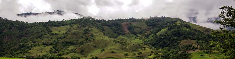 Coffee growing area of Colombia
