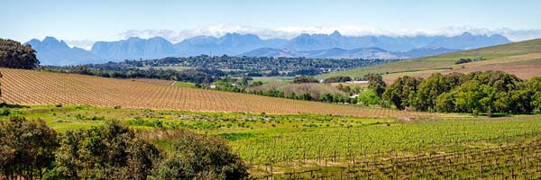 Durbanville, Cape Town, South Africa
