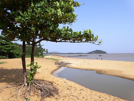 Beach in Guiana