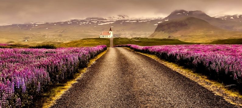 Scenic drive in Iceland
