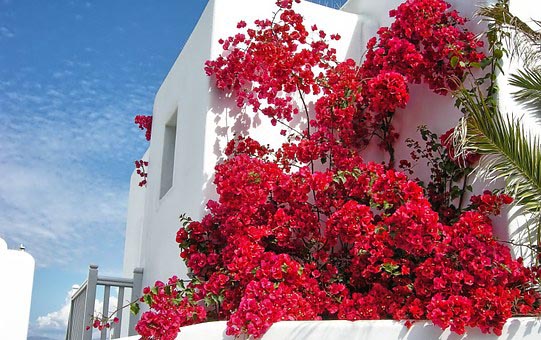 Travel guide to Mykonos, Greece