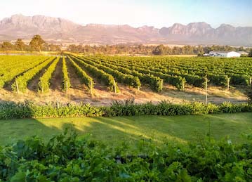 Paarl, Cape Winelands, South Africa