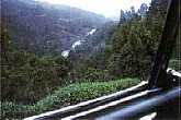 Ooty - Queen of Hill Stations, India