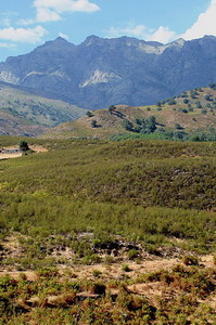 La Sayuela Casa Rural Bed and Breakfast, Candeleda, Avila, Spain