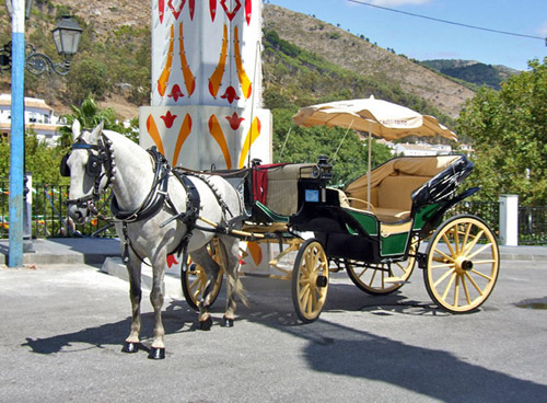 Horse and carriage in Mijas