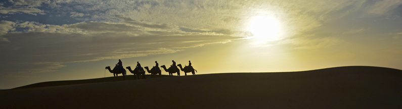 Desert of Morocco