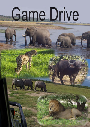 Game drive at Victoria Falls, Zimbabwe