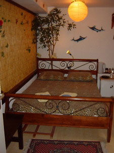 Tropical Lower Rooms - Barangay Bed and Breakfast - Amsterdam - Netherlands - Click for larger image