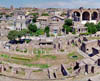 Roman Forum