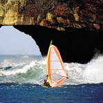 Whale Coast South Africa