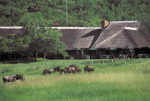 Bakubung Game Lodge