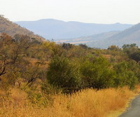 Pilanesberg National Park, South Africa