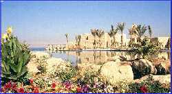 Dead Sea Movenpick