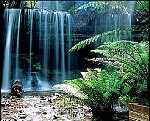 Tasmania