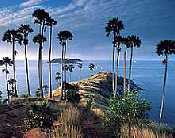 Phuket
