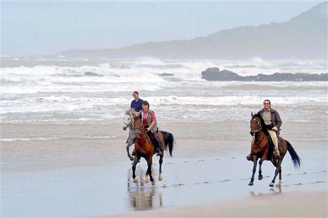 Horseback riding on the beach in South Africa
