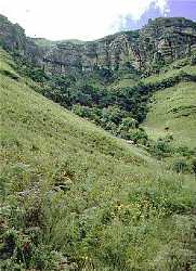 Drakensberg - click for larger image