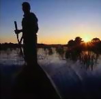 Okavango Swamps - click for larger image