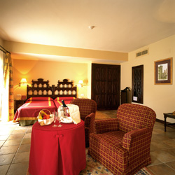 Room / Habitacion