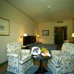 Room / Habitacion