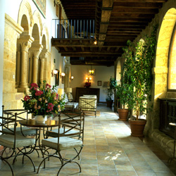 Terrace / Terraza
