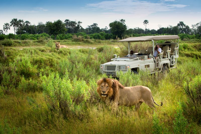 Xigera Safari Lodge, Botswana for solo travelers