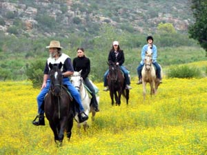 Horse riding in Cederberg - �Karukareb Lodge