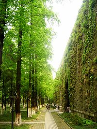 Nanjing