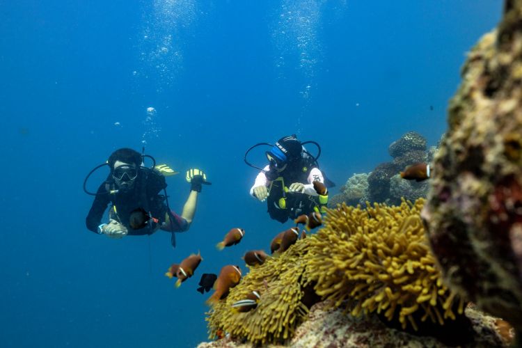 Scuba diving in the Maldives
