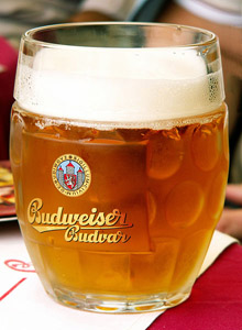 Budweiser beer