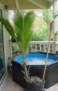 Jacuzzi
